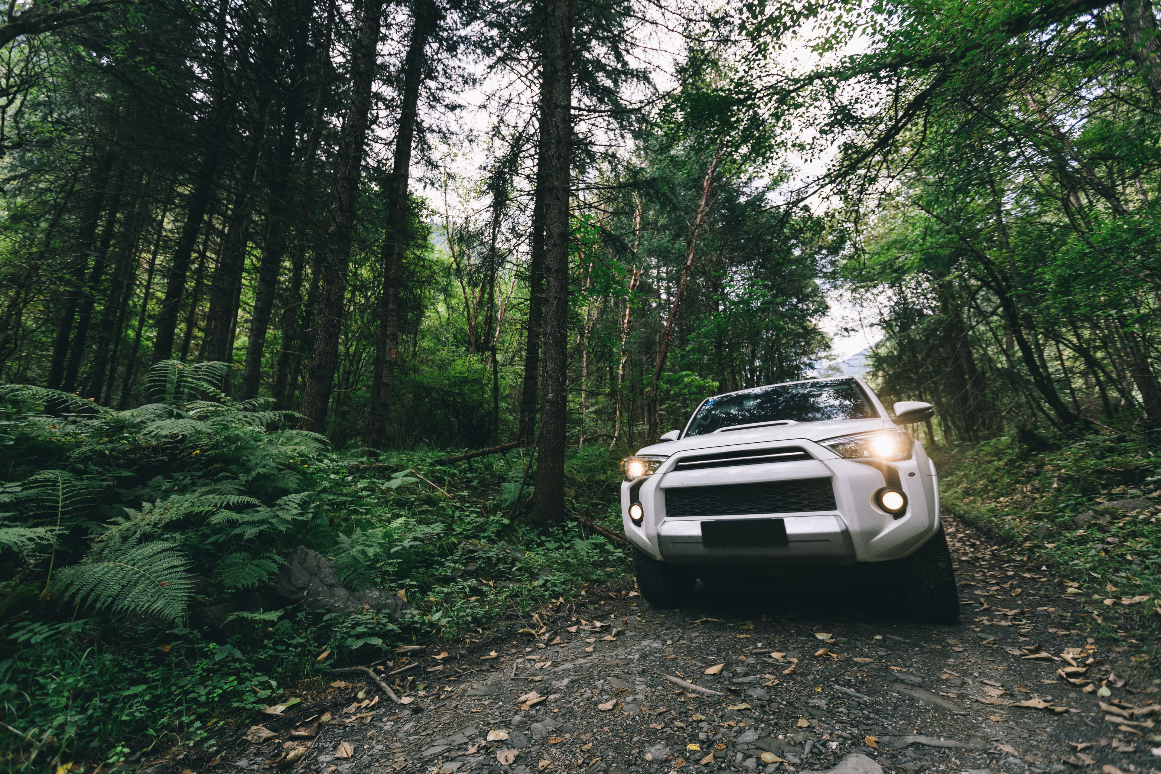 A white 4x4 vehicle driving on dirt road with its lights on